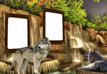 カテゴリのフォトエフェクト いろいろ № 153016