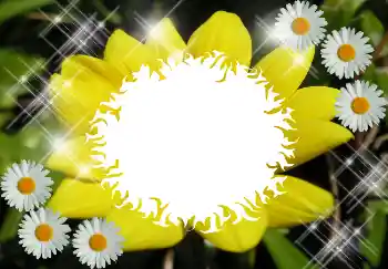 カテゴリのフォトエフェクト いろいろ № 1530