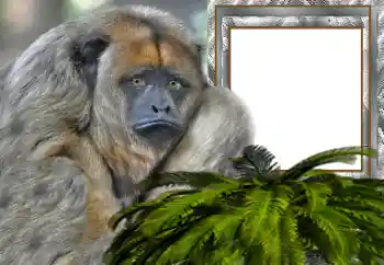 カテゴリのフォトエフェクト いろいろ № 154503