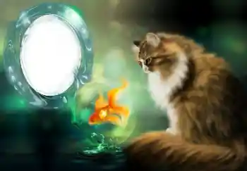 カテゴリのフォトエフェクト いろいろ № 154509