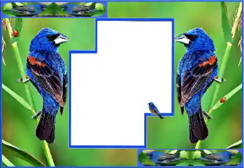 カテゴリのフォトエフェクト いろいろ № 154512