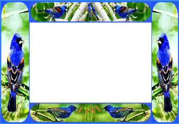 カテゴリのフォトエフェクト いろいろ № 154514