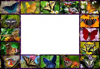 カテゴリのフォトエフェクト いろいろ № 154545 カテゴリのフォトエフェクト いろいろ № 154545