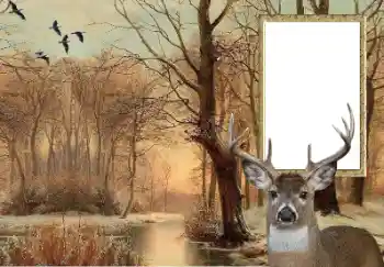 カテゴリのフォトエフェクト いろいろ № 154607