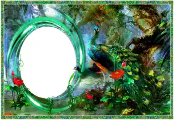 カテゴリのフォトエフェクト いろいろ № 154704