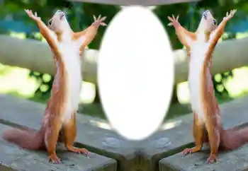 カテゴリのフォトエフェクト いろいろ № 154733 カテゴリのフォトエフェクト いろいろ № 154733