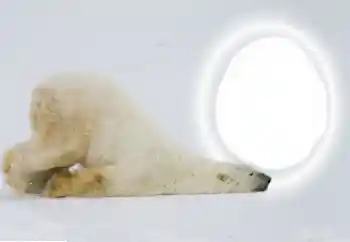 カテゴリのフォトエフェクト いろいろ № 154735 カテゴリのフォトエフェクト いろいろ № 154735