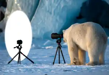 カテゴリのフォトエフェクト いろいろ № 154736 カテゴリのフォトエフェクト いろいろ № 154736