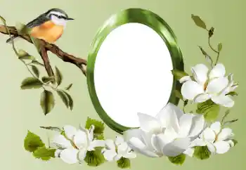 カテゴリのフォトエフェクト いろいろ № 155868 カテゴリのフォトエフェクト いろいろ № 155868