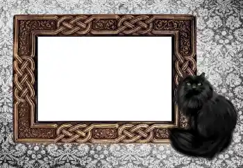 カテゴリのフォトエフェクト いろいろ № 155997