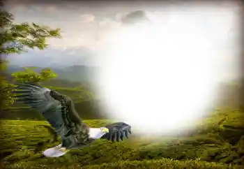 カテゴリのフォトエフェクト いろいろ № 158416 カテゴリのフォトエフェクト いろいろ № 158416