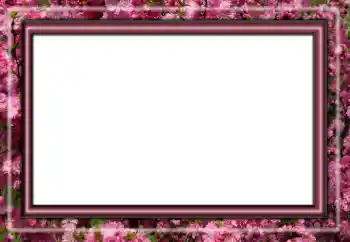 カテゴリのフォトエフェクト いろいろ № 158431 カテゴリのフォトエフェクト いろいろ № 158431