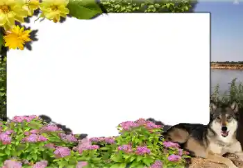 カテゴリのフォトエフェクト いろいろ № 159462 カテゴリのフォトエフェクト いろいろ № 159462