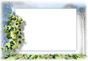 カテゴリのフォトエフェクト いろいろ № 160744 カテゴリのフォトエフェクト いろいろ № 160744