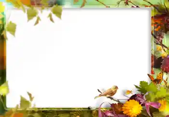 カテゴリのフォトエフェクト いろいろ № 160773 カテゴリのフォトエフェクト いろいろ № 160773