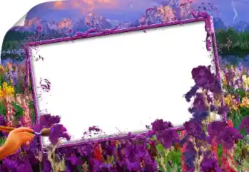 カテゴリのフォトエフェクト いろいろ № 160843 カテゴリのフォトエフェクト いろいろ № 160843