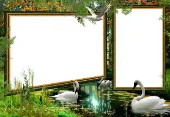 カテゴリのフォトエフェクト いろいろ № 160922 カテゴリのフォトエフェクト いろいろ № 160922