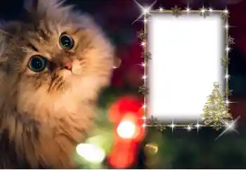 カテゴリのフォトエフェクト いろいろ № 162030 カテゴリのフォトエフェクト いろいろ № 162030