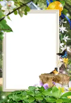 カテゴリのフォトエフェクト いろいろ № 162044 カテゴリのフォトエフェクト いろいろ № 162044