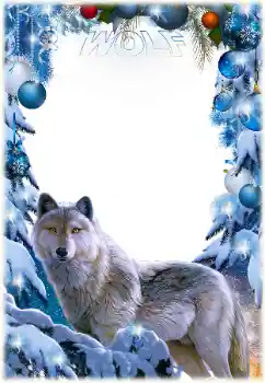 フレーム上の碑文: Wolf フレーム上の碑文: Wolf