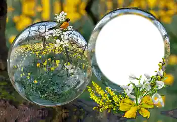 カテゴリのフォトエフェクト いろいろ № 163601