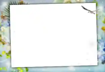 カテゴリのフォトエフェクト いろいろ № 164634