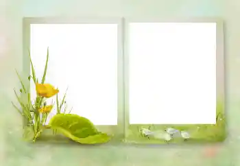 カテゴリのフォトエフェクト いろいろ № 164751 カテゴリのフォトエフェクト いろいろ № 164751