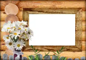 カテゴリのフォトエフェクト いろいろ № 164792