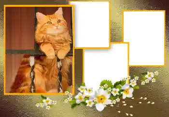 カテゴリのフォトエフェクト いろいろ № 166093 カテゴリのフォトエフェクト いろいろ № 166093