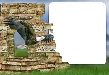 カテゴリのフォトエフェクト いろいろ № 166357 カテゴリのフォトエフェクト いろいろ № 166357