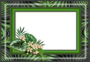 カテゴリのフォトエフェクト いろいろ № 166640