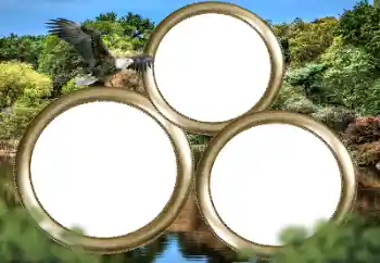 カテゴリのフォトエフェクト いろいろ № 167860