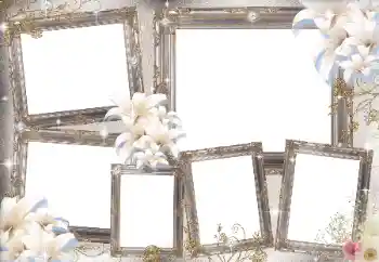 カテゴリのフォトエフェクト いろいろ № 169031