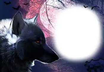 カテゴリのフォトエフェクト いろいろ № 16918 カテゴリのフォトエフェクト いろいろ № 16918