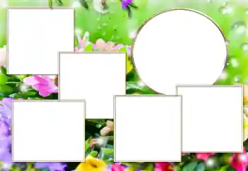 カテゴリのフォトエフェクト いろいろ № 169279