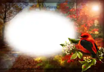 カテゴリのフォトエフェクト いろいろ № 170400