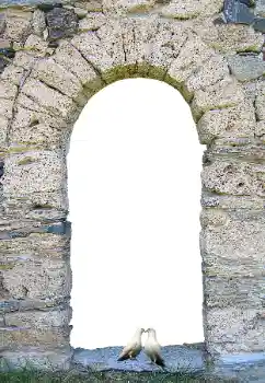 カテゴリのフォトエフェクト いろいろ № 171681