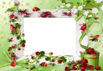 カテゴリのフォトエフェクト いろいろ № 172917