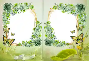 カテゴリのフォトエフェクト いろいろ № 172968