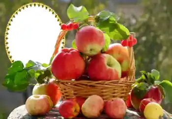 カテゴリのフォトエフェクト いろいろ № 173030 カテゴリのフォトエフェクト いろいろ № 173030