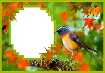 カテゴリのフォトエフェクト いろいろ № 173036 カテゴリのフォトエフェクト いろいろ № 173036