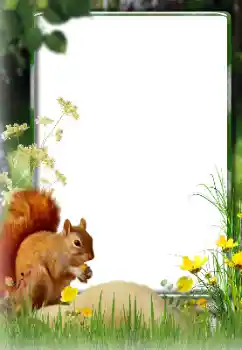 カテゴリのフォトエフェクト いろいろ № 174270