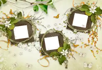 カテゴリのフォトエフェクト いろいろ № 175577 カテゴリのフォトエフェクト いろいろ № 175577