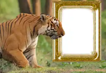 カテゴリのフォトエフェクト いろいろ № 176575 カテゴリのフォトエフェクト いろいろ № 176575