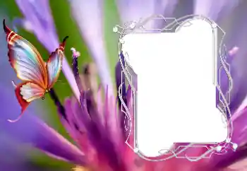 カテゴリのフォトエフェクト いろいろ № 176776 カテゴリのフォトエフェクト いろいろ № 176776