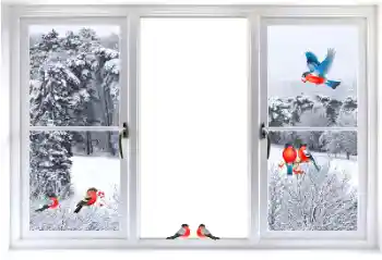 カテゴリのフォトエフェクト いろいろ № 177876 カテゴリのフォトエフェクト いろいろ № 177876