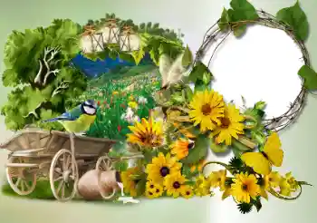 カテゴリのフォトエフェクト いろいろ № 180773 カテゴリのフォトエフェクト いろいろ № 180773