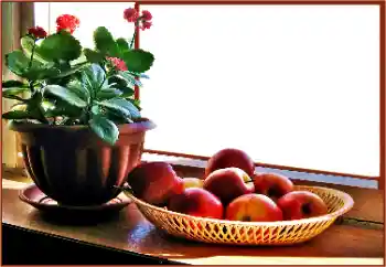 カテゴリのフォトエフェクト いろいろ № 180838 カテゴリのフォトエフェクト いろいろ № 180838