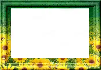 カテゴリのフォトエフェクト いろいろ № 1816