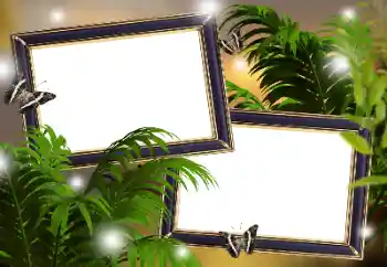 カテゴリのフォトエフェクト いろいろ № 181982 カテゴリのフォトエフェクト いろいろ № 181982